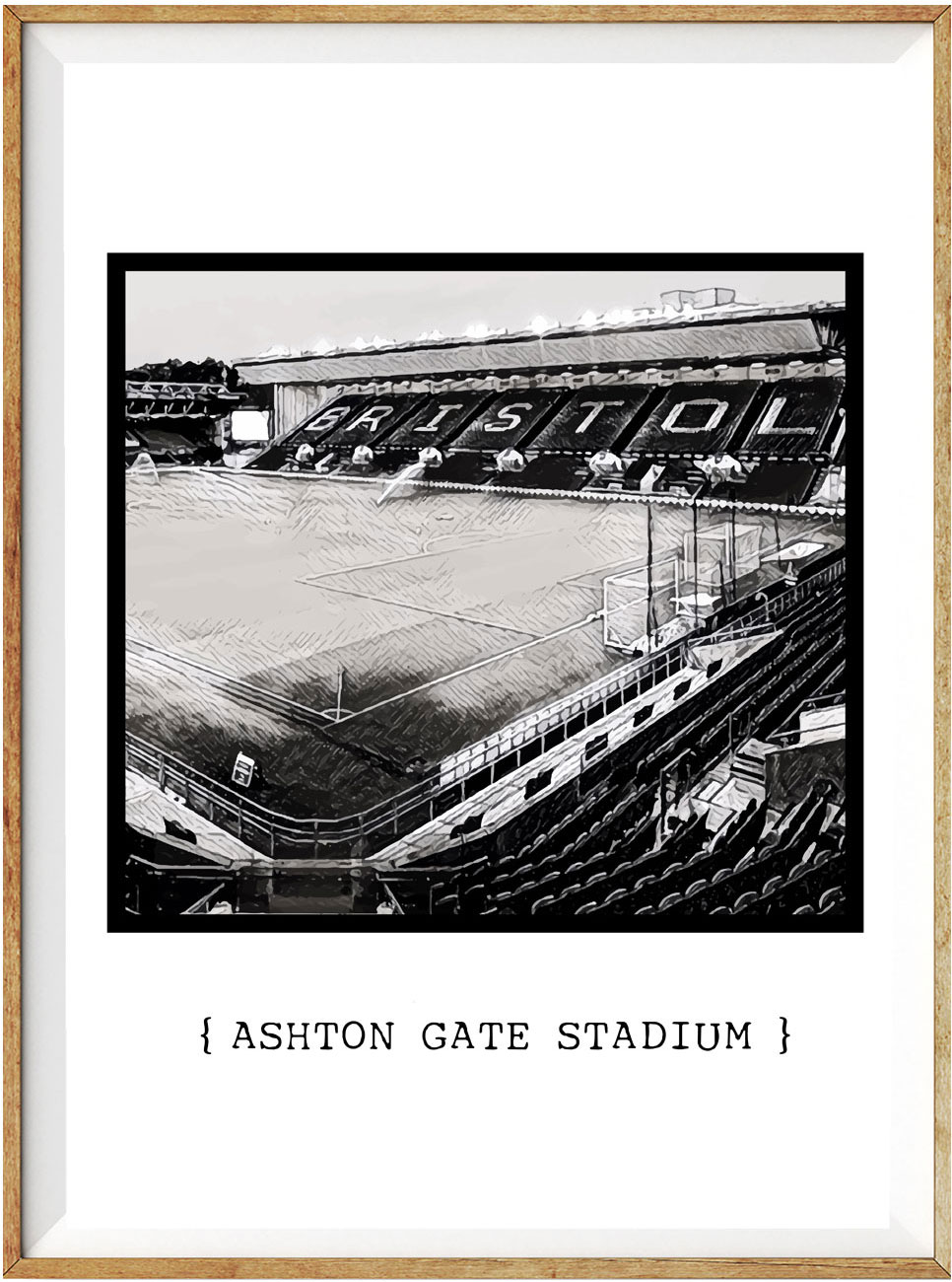 Bristol city 3